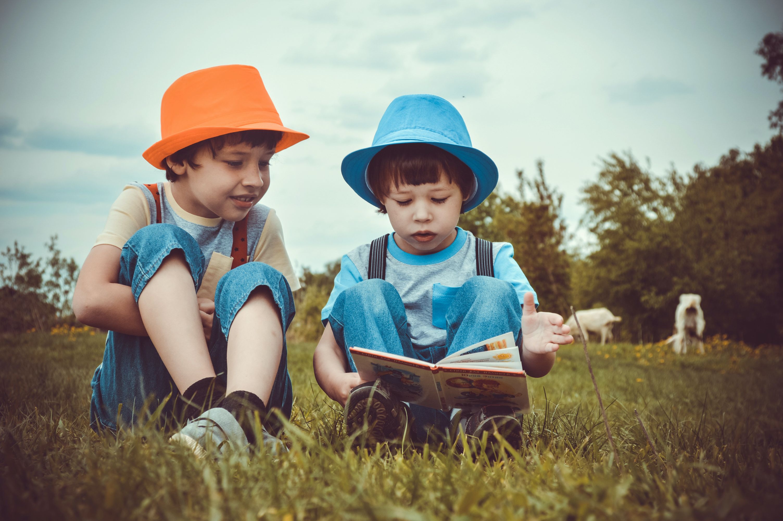 Voortgezet technisch leesonderwijs