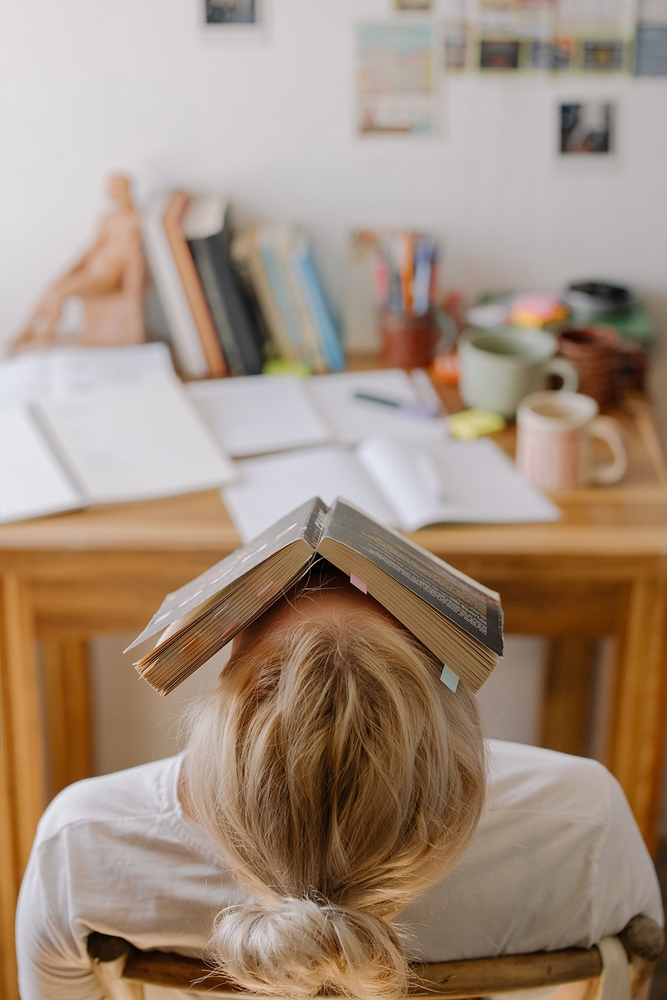 Sociaal emotioneel leren